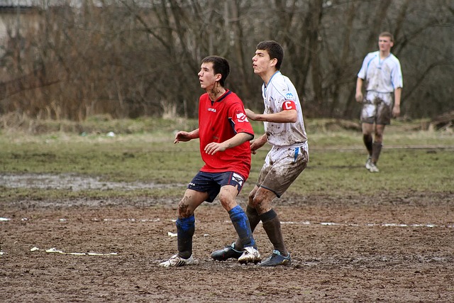 者看到了新 者看到了新