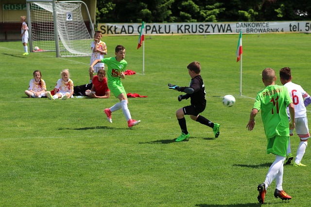 王楚钦和林 王楚钦和林