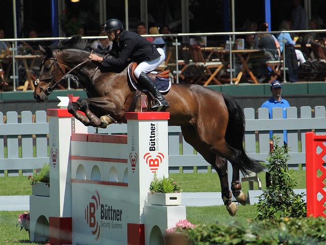 个经典的案 个经典的案