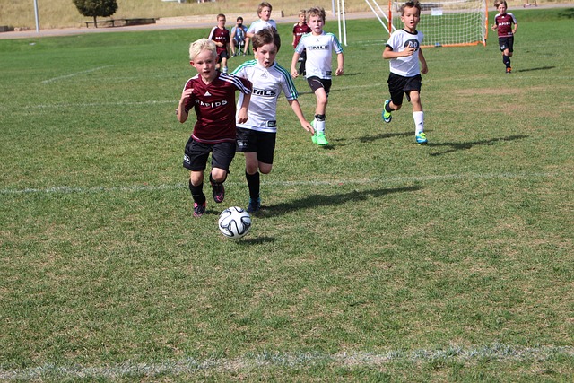 快船已经升 快船已经升